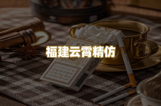 福建云霄精仿
